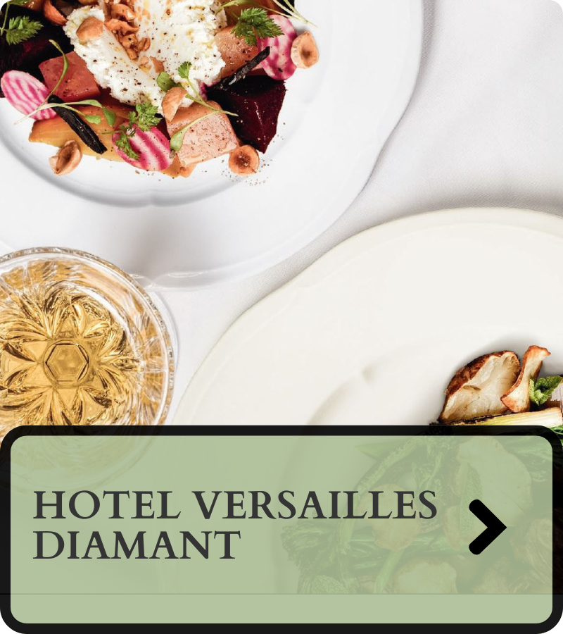 Hotel versilles